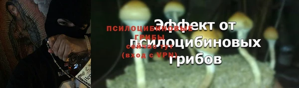 трава Мегион