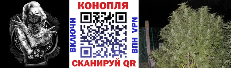 Конопля марихуана  KRAKEN зеркало  Первомайск 